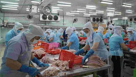 An Giang phấn đấu tăng trưởng nông, lâm, thủy, sản đạt hơn 54.300 tỉ đồng