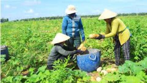 Tây Ninh: Tín dụng chính sách “đòn bẩy” giúp hộ nghèo vươn lên