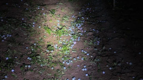 Mưa đá kèm dông lốc gây thiệt hại hơn 30 tỉ đồng ở Bắc Hà