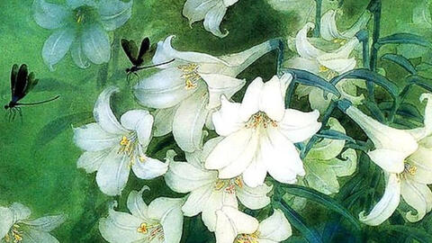 'Ám ảnh tháng tư' gửi vào cõi nhớ ngày Thanh minh