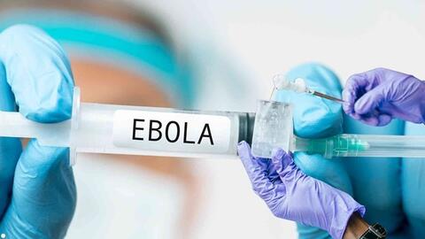 Dịch Ebola phức tạp ở châu Phi, Việt Nam kích hoạt hệ thống phòng dịch