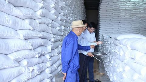 Khẩn trương hoàn thành mua 300.000 tấn gạo nhập kho dự trữ theo kế hoạch