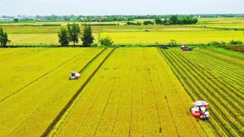 Tín dụng xanh – động lực thúc đẩy chuyển đổi nông nghiệp xanh bền vững trước tác động của biến đổi khí hậu