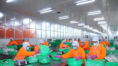 Tín dụng tăng tốc cùng nhịp phục hồi kinh tế tại TP. Cần Thơ và tỉnh Vĩnh Long