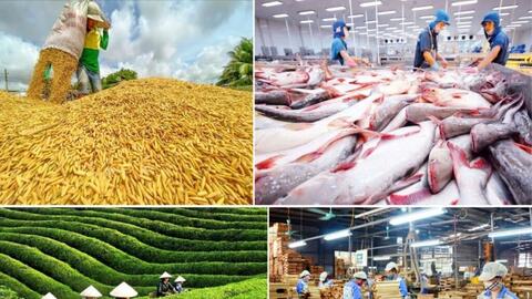 Từ tháng 6/2026: Thêm ưu đãi thuế, siết xử phạt vi phạm lâm nghiệp
