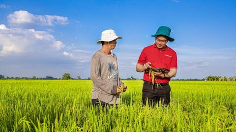 Tín dụng xanh tăng tốc nhưng doanh nghiệp vẫn “khát” vốn chuyển đổi