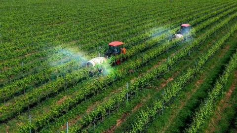 Giảm phát thải để nâng cao giá trị và sức cạnh tranh của nông sản Việt