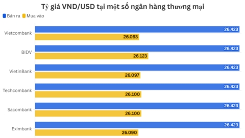 Ngày 15/6: Tỷ giá trung tâm tăng 10 đồng