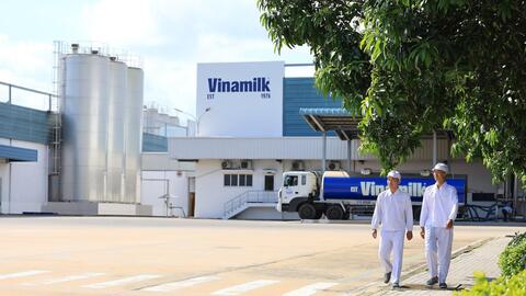 Vinamilk: 3 năm liên tiếp là doanh nghiệp sữa duy nhất của Việt Nam trong Fortune 500 Đông Nam Á