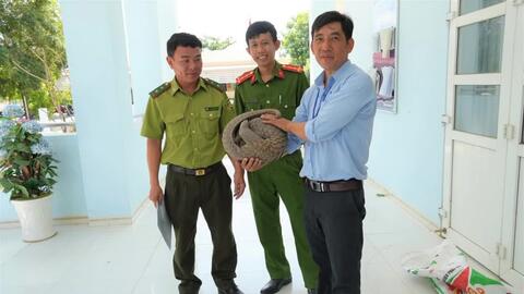 Người dân giao nộp cá thể tê tê quý hiếm cho cơ quan chức năng