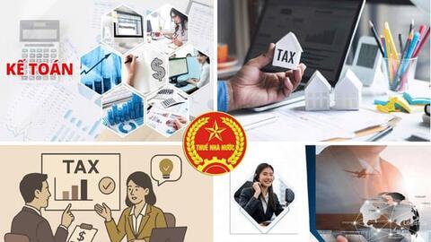 Ngành Thuế triển khai gia hạn thời hạn nộp thuế và tiền thuê đất trong năm 2026