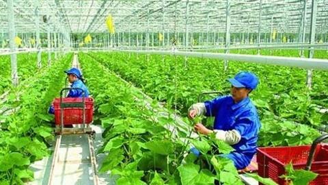 Phân bổ vốn đầu tư công trung hạn gắn với mục tiêu tăng trưởng kinh tế 2 con số