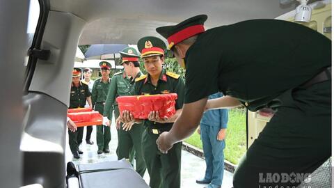 Cà Mau bàn giao 237 mẫu hài cốt liệt sĩ giám định ADN