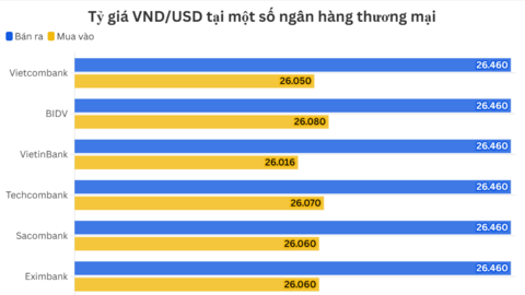 Ngày 13/7: Tỷ giá trung tâm tăng 6 đồng