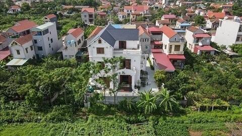 Làm rõ tiền sử dụng đất khi chuyển đất trồng cây lâu năm sang đất ở