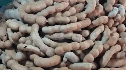 Bí quyết uống nước me giúp hỗ trợ thải độc gan