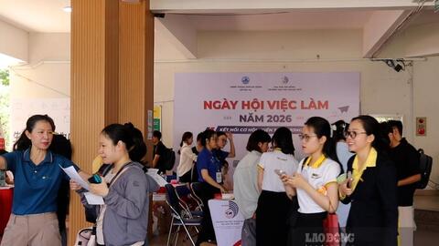 5.537 vị trí tuyển dụng tại Ngày hội việc làm 2026 ở Đà Nẵng