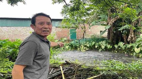 Ô nhiễm kéo dài từ các trang trại chăn nuôi ở Hưng Yên