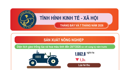 Tình hình kinh tế - xã hội 7 tháng đầu năm 2026