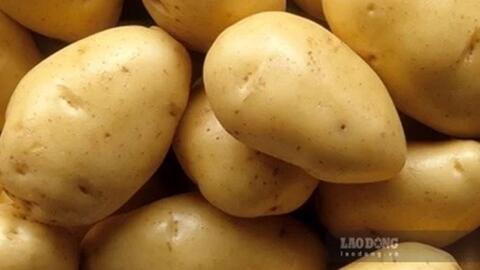 5 loại rau củ tốt cho người tăng huyết áp nên bổ sung vào thực đơn hằng ngày