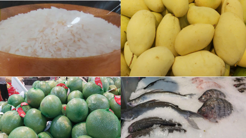 Nông, lâm, thủy sản giữ đà tăng trưởng, tạo nền tảng cho mục tiêu phát triển bền vững