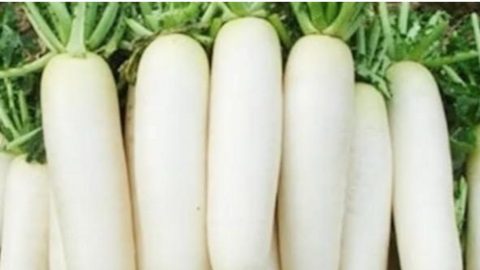 Hỗ trợ quá trình đào thải axit uric bằng loại củ quen thuộc