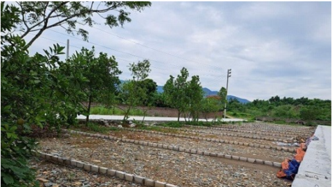 Giá đất nền giảm mạnh, xuất hiện tình trạng rao bán cắt lỗ