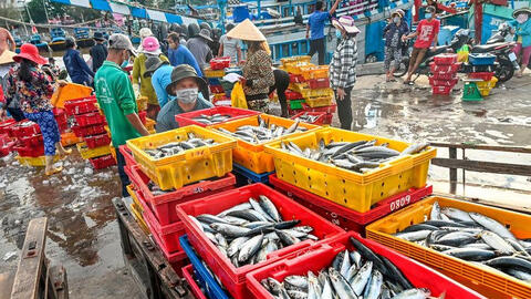 Thủy sản Việt còn nhiều dư địa để mở rộng thị trường nội địa