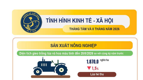 Tình hình kinh tế - xã hội 8 tháng đầu năm 2026