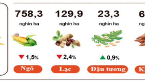 Nông, lâm nghiệp và thủy sản giữ đà tăng trưởng cuối năm