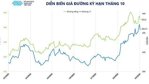 Đồng USD suy yếu sau tín hiệu mới từ FED, thị trường kim loại hút dòng tiền