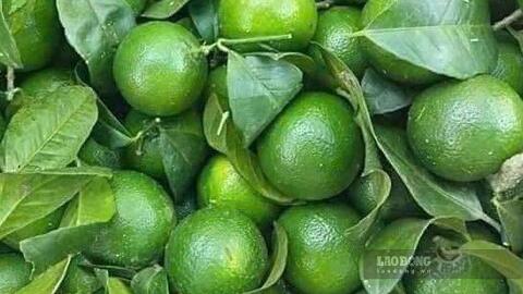 Nước dừa hay nước chanh tốt cho gan