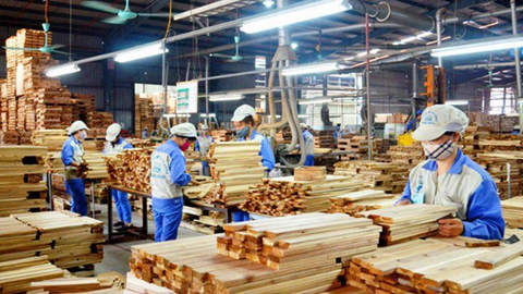 Nông lâm nghiệp Việt Nam: Từ lợi thế sản xuất đến làm chủ luật chơi toàn cầu