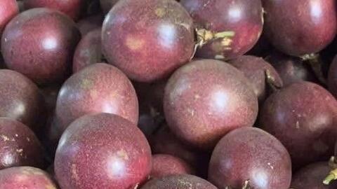 Lý do quả chanh dây có thể hỗ trợ kiểm soát mỡ máu