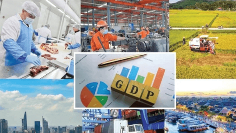 Kinh tế 9 tháng tăng 9,01%: Củng cố động lực tăng trưởng những tháng cuối năm