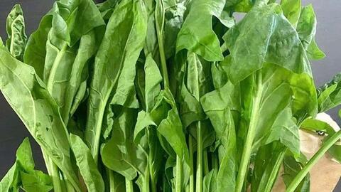 Thực phẩm giàu vitamin K tốt cho xương khớp