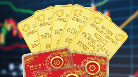 Ngày 15/10: Giá vàng trong nước đi ngang