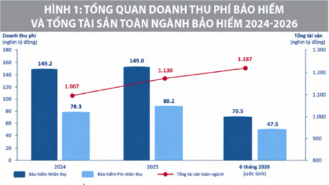 Thị trường bảo hiểm Việt Nam: Thực trạng, triển vọng và định hướng cải cách