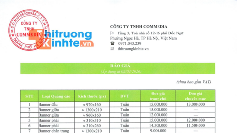 Báo giá website năm 2026