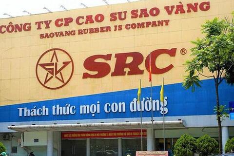 Cao su Sao Vàng bị phạt và truy thu thuế 1,3 tỷ đồng