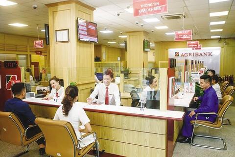 Ngân hàng đẩy mạnh tăng trưởng tín dụng hỗ trợ doanh nghiệp trên địa bàn tỉnh Kiên Giang