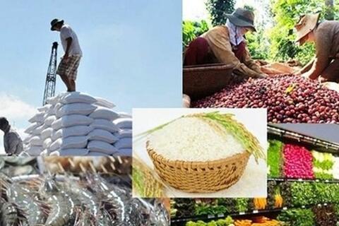 Xuất khẩu nông, lâm, thủy sản 5 tháng đầu năm tăng 15,1%, châu Á là thị trường lớn nhất