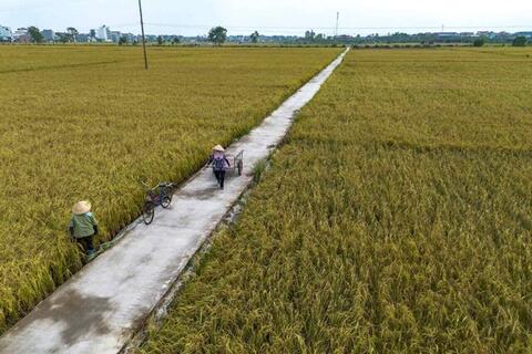 Hải Dương chi gần 4 tỉ đồng hỗ trợ đề án khuyến công năm 2025