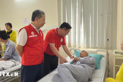 Bảo hiểm Bảo Việt cùng liên danh bảo hiểm khẩn trương phối hợp triển khai tạm ứng bồi thường khách hàng gặp nạn trên tàu Vịnh Xanh 58