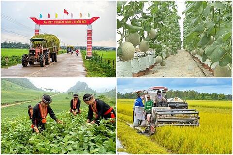 Đồng bộ, thống nhất cơ sở dữ liệu về các chương trình mục tiêu quốc gia