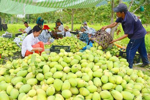 Quỹ tín dụng nhân dân Khu vực 13: Hoạt động thông suốt sau sáp nhập đơn vị hành chính