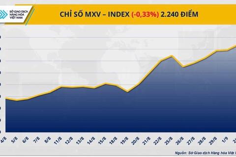 Giá bạc vượt đỉnh 14 năm trước kỳ vọng FED hạ lãi suất và USD suy yếu