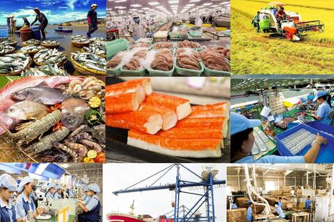 Đẩy mạnh các giải pháp thúc đẩy xuất khẩu, phát triển thị trường ngoài nước