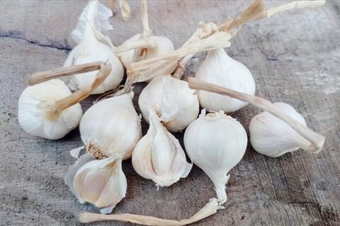 Thực phẩm giàu chất chống oxy hóa giúp kiểm soát đường huyết