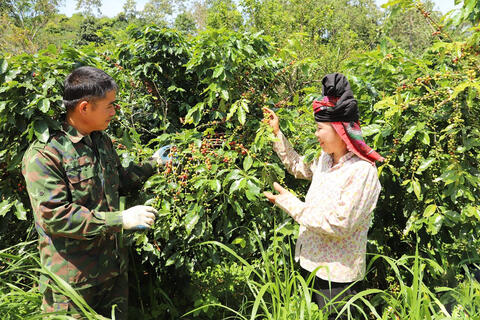Mai Sơn trên hành trình nông thôn mới: HTX làm nòng cốt, OCOP làm động lực
